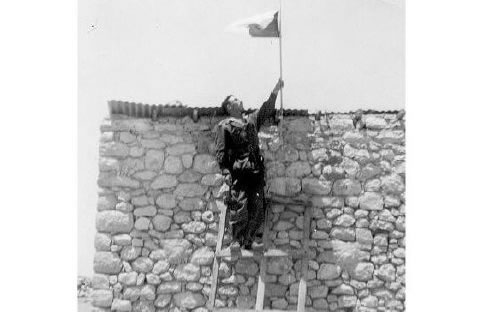 علم الجزائر